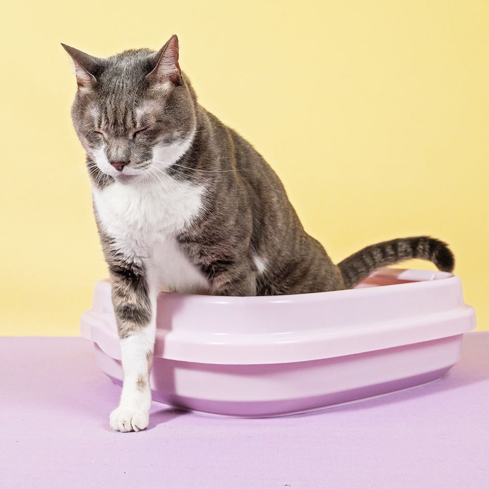 LitoMon怪獸部落 費洛蒙紓壓貓砂 礦砂 4kg