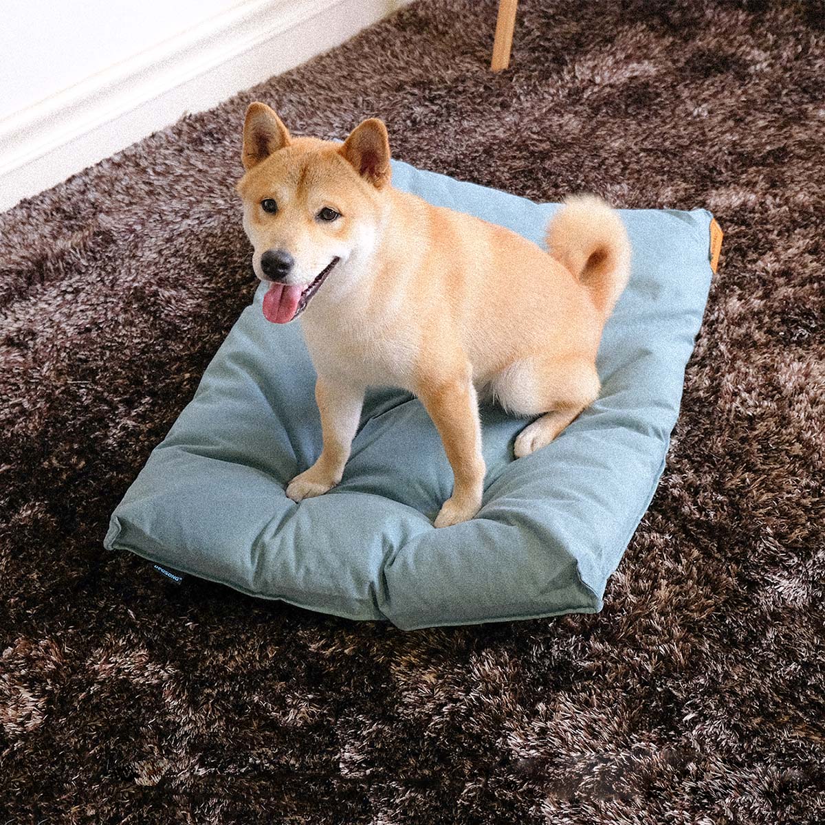 DOGSONG 北歐風平面寵物睡墊