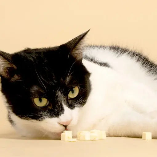 HeroMama 倆小丁雙拼凍乾零食