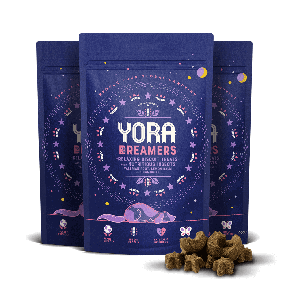 YORA 追夢人餅乾 犬 100g