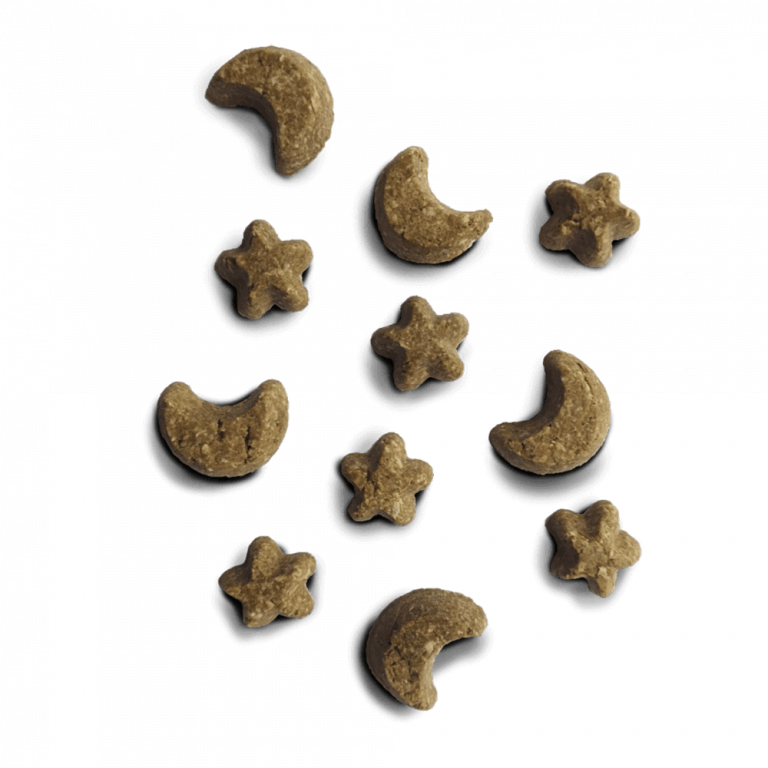 YORA 追夢人餅乾 犬 100g