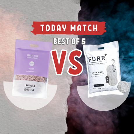 豆腐砂 vs 礦砂 vs 混合砂：哪一種更適合您的愛寵健康