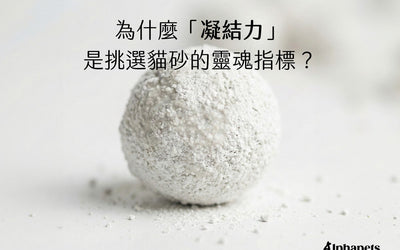 「凝結力」是挑選貓砂的靈魂指標