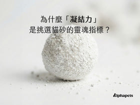 「凝結力」是挑選貓砂的靈魂指標