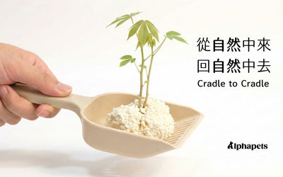 鏟屎也能救地球？每天產出的貓砂垃圾去哪了？選對「木薯砂」，讓環保與好用不再是選擇題！