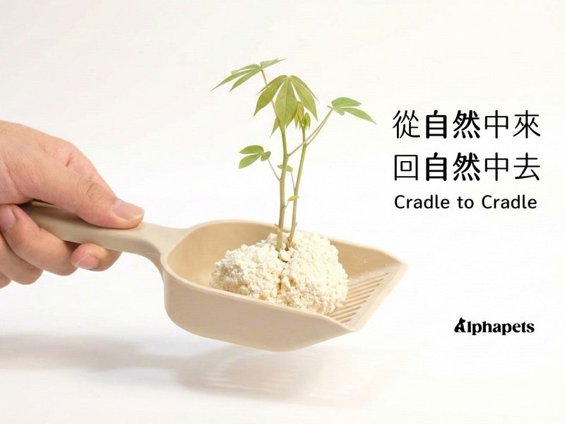 鏟屎也能救地球？每天產出的貓砂垃圾去哪了？選對「木薯砂」，讓環保與好用不再是選擇題！