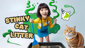 貓咪尿液的深度解析：為什麼貓尿這麼臭？如何管理與預防？