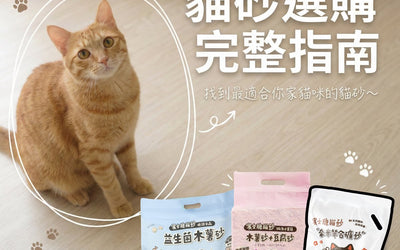 貓砂選購完整指南 - 找到最適合你家貓咪的貓砂