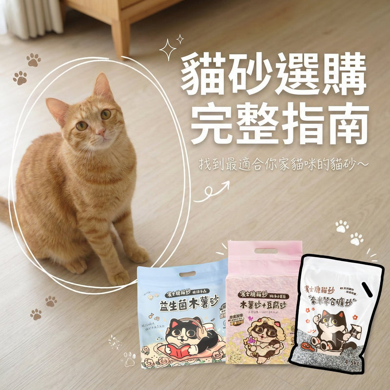 貓砂選購完整指南 - 找到最適合你家貓咪的貓砂