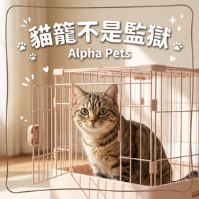 貓籠不是監獄：什麼時候該用貓籠，怎麼用才不委屈貓