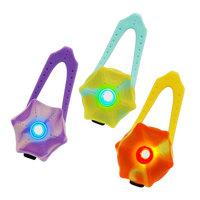 LaRoo萊諾 極光吊墜 寵物發光項圈配件 LED發光 USB充電 寵物夜晚發光