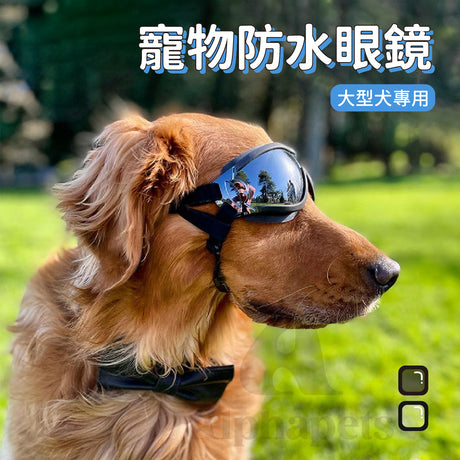 寵物防水眼鏡 寵物眼睛防護 大型犬眼鏡 寵物護目鏡