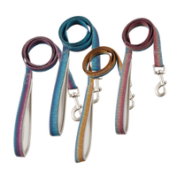 UNMIXED 極光幻彩系列 PVC防水寵物外出牽繩 2種尺寸