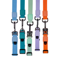 BlackDoggy 寵物外出壓花防水項圈 / 牽繩