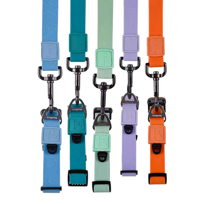 BlackDoggy 寵物外出壓花防水項圈 / 牽繩