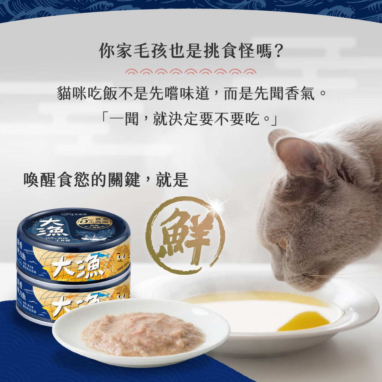毛起來 大漁罐 極鮮海味主食罐 80g | 全齡貓 95%極鮮原肉 鯖魚高湯 貓主食罐