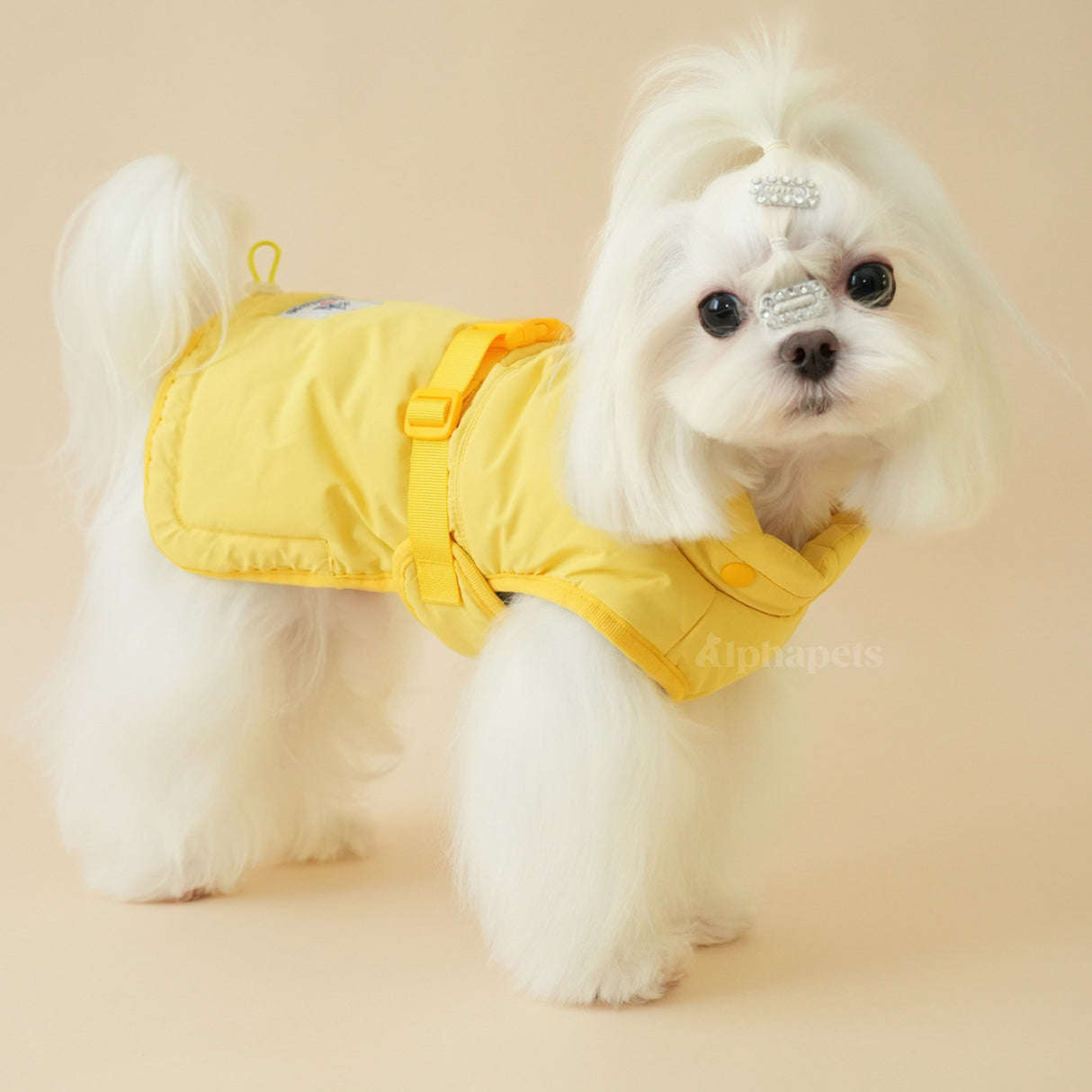 PETTRIP 圍脖可拆扣型棉衣