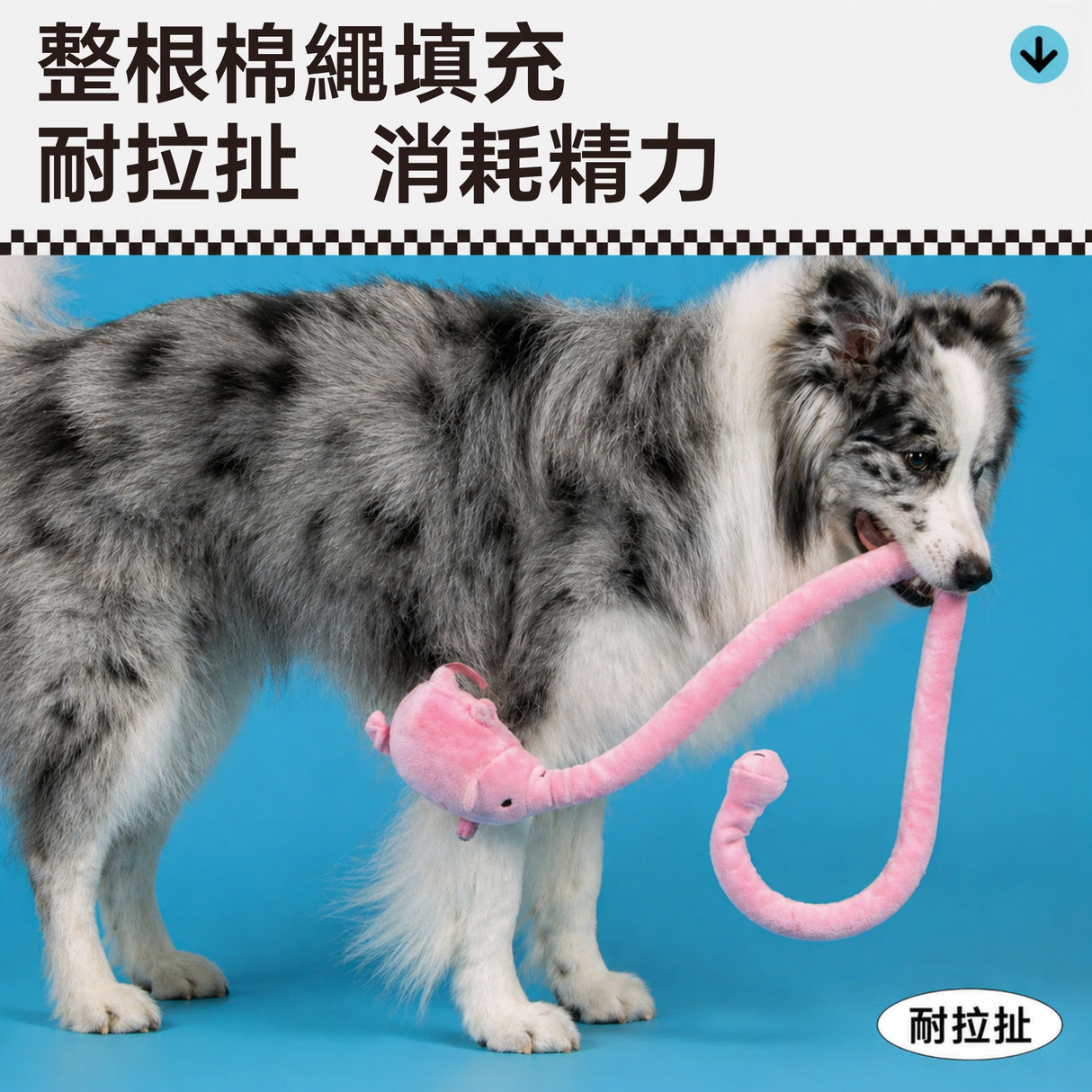 QMONSTER 長長小動物系列 毛絨發聲拔河互動玩具