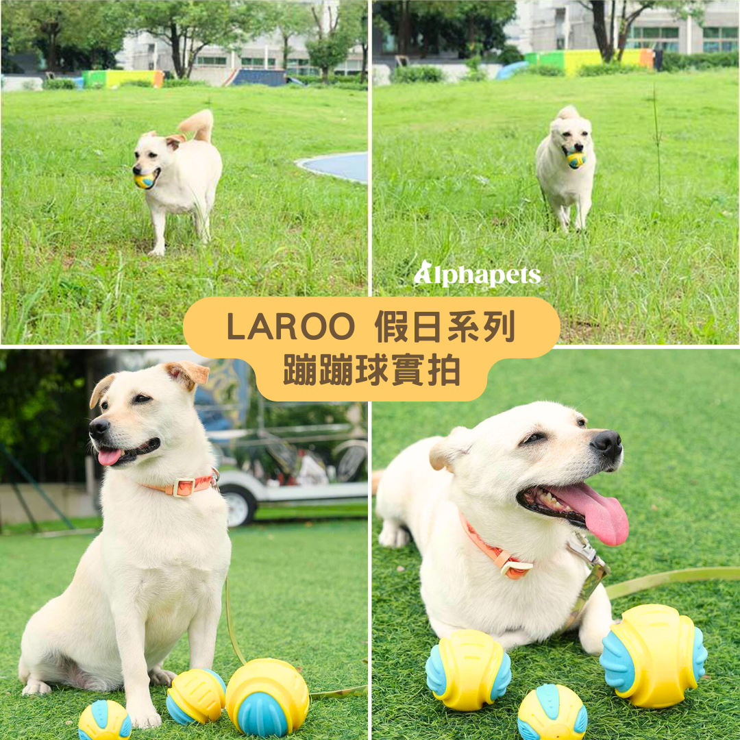 LaRoo 萊諾 假日系列 蹦蹦球  狗狗玩具球 寵物彈力球