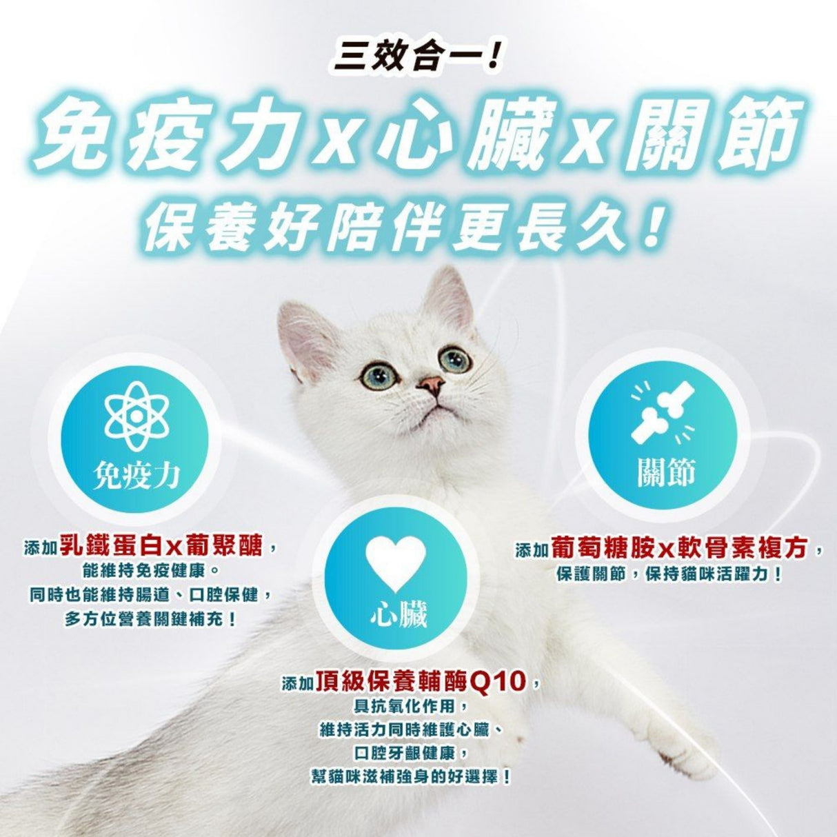 ParkCat貓樂園 無敵貓糧 大洋鮮極魚 鮮雞蜂王乳 動力火雞鹿 霸王鮮雞 1kg