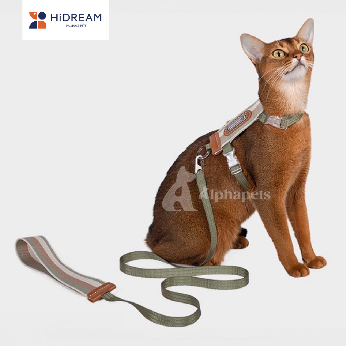 HiDREAM 貓咪條紋胸背牽繩套組 寵物牽繩 胸背帶