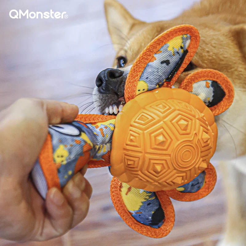 Q-MONSTER 橡膠漏食海龜玩具 烏龜玩具 磨牙玩具
