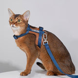 HIDREAM 啵啵系列 貓咪胸背牽繩組 5色