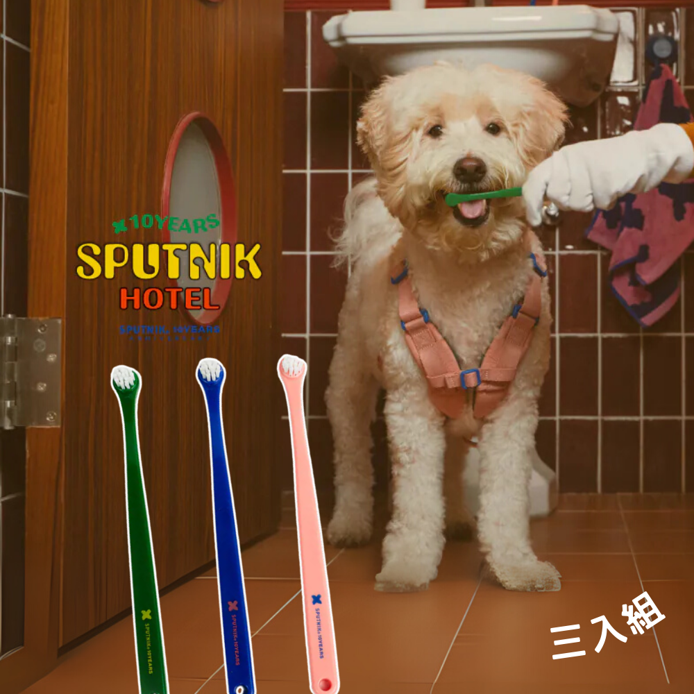 SPUTNIK 寵物牙刷(3入組) 貓刷牙 狗刷牙 寵物潔牙狗牙刷