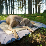 BlackDoggy 寵物戶外營地墊 防水抗汙 寵物睡墊 2色