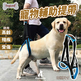 DogLemi多樂米 寵物輔助提帶 後腿輔助帶 狗狗輔助背帶