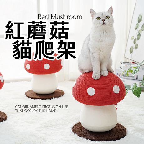 紅蘑菇貓跳台 貓爬架 貓抓柱 貓咪玩具