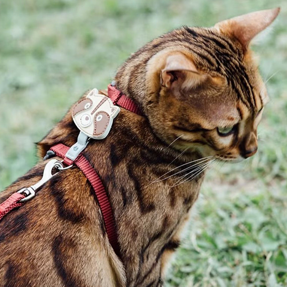 tails&me 尾巴與我 經典尼龍帶胸背帶 For Cat 貓系列 寵物胸背帶