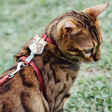 tails&me 尾巴與我 經典尼龍帶胸背帶 For Cat 貓系列 寵物胸背帶