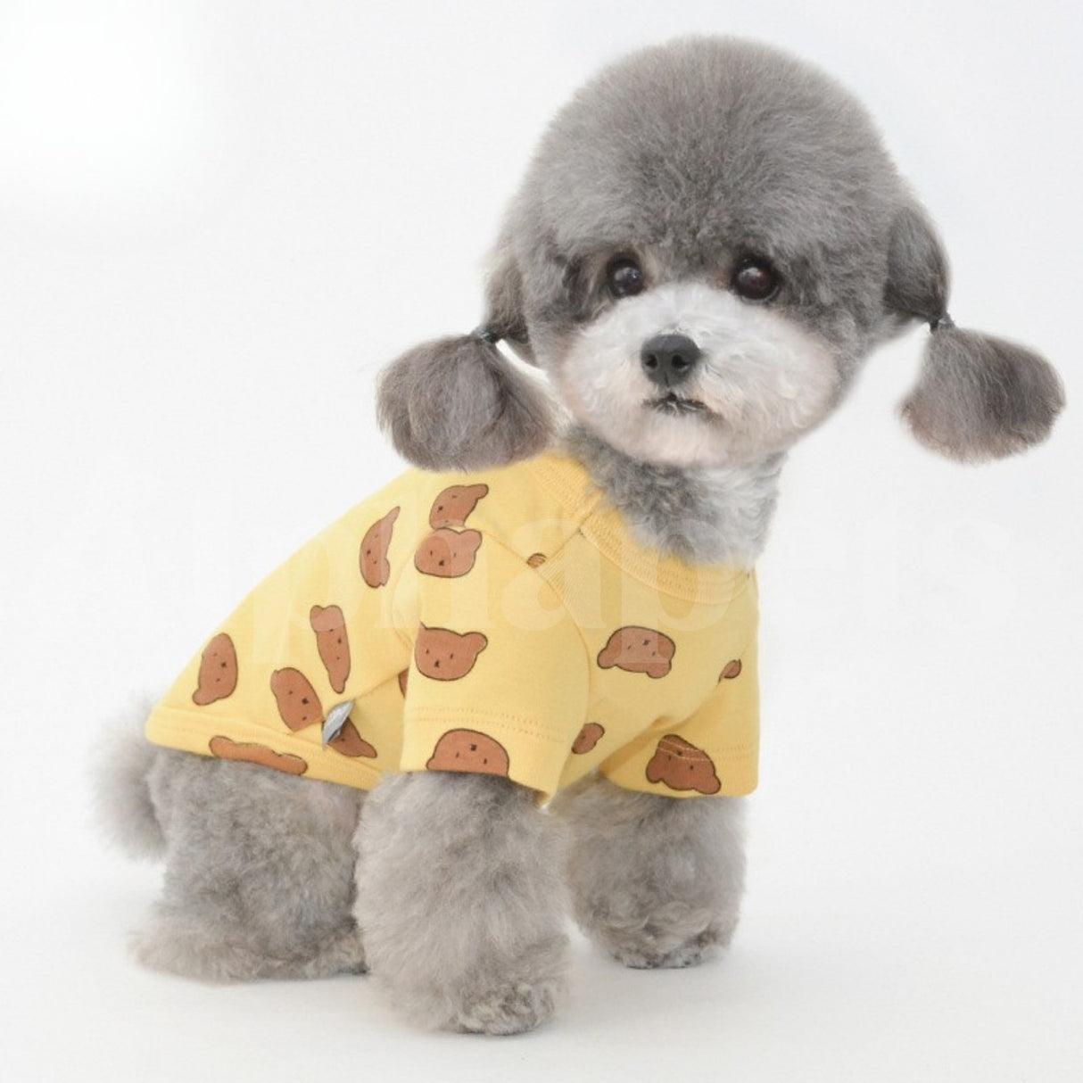 PETTRIP 小熊印花兩腳衣