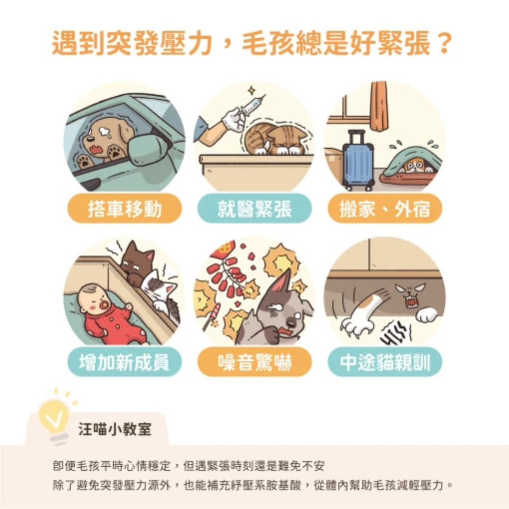 艾爾發寵物 | 『五入組』汪喵星球 紓壓胺基酸｜犬貓紓壓胺基酸 狗緊張 貓緊張 寵物舒壓