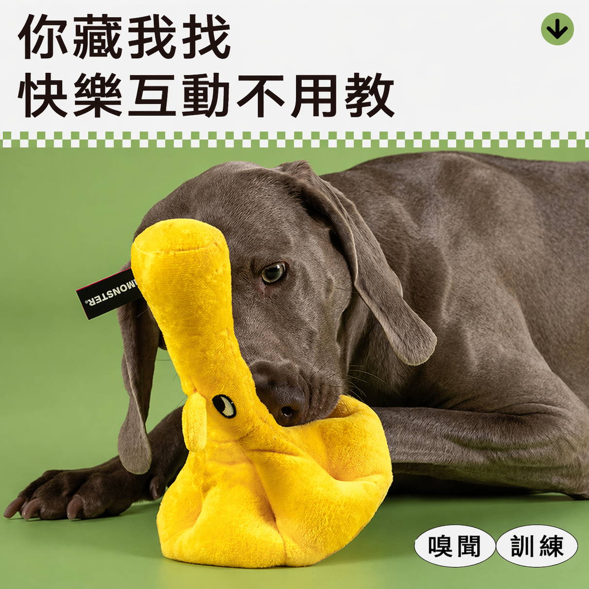 QMONSTER 蘑菇菇系列寵物藏食玩具
