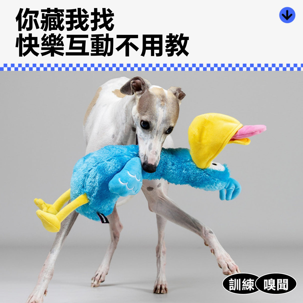 QMONSTER 噠噠鳥系列 藏食發聲毛絨益智玩具  嗅聞磨牙解悶互動玩具