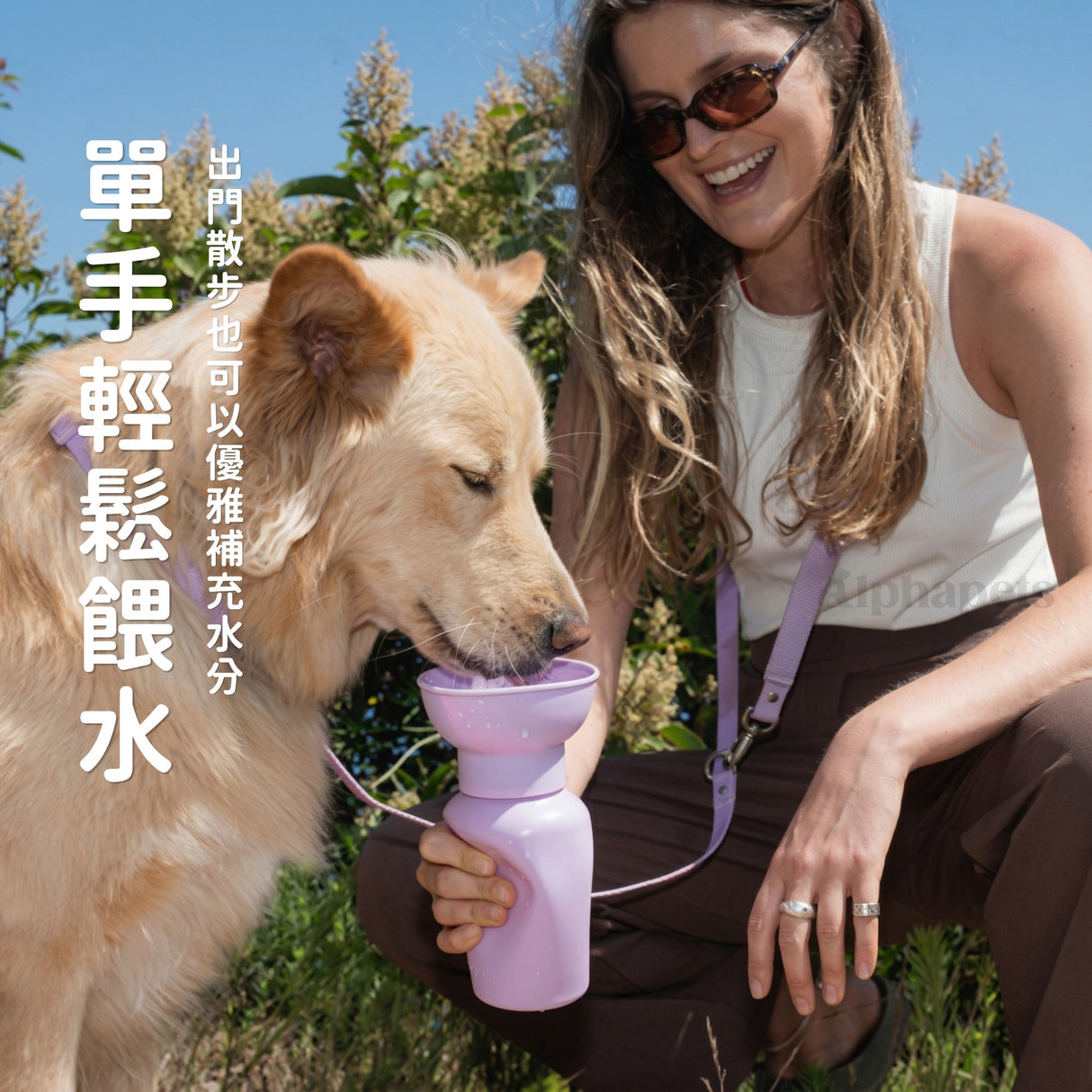 美國Springland寵物經典外出水壺