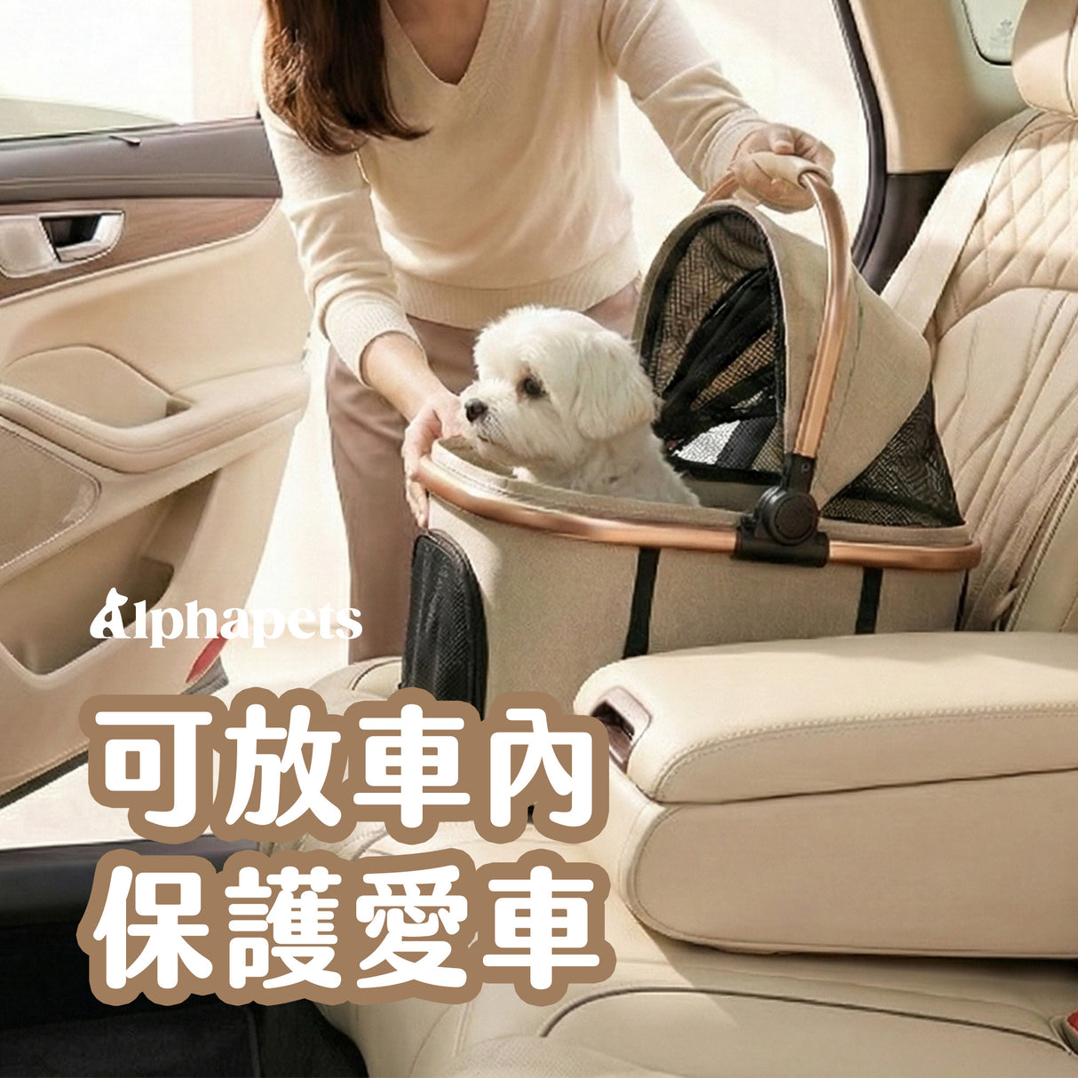 分離式寵物推車