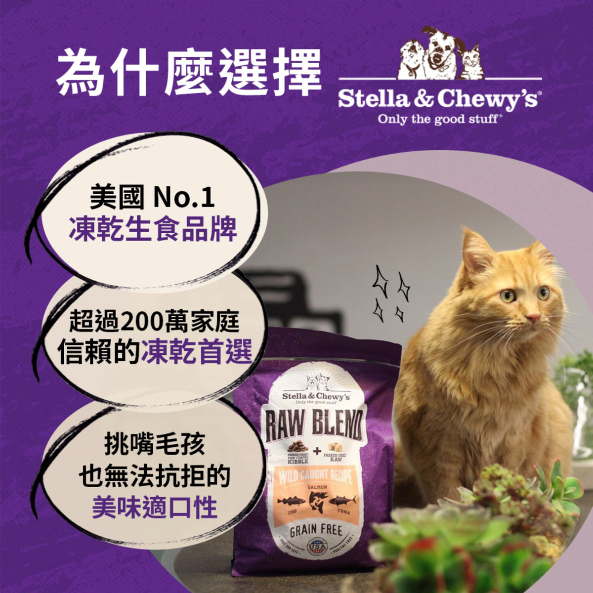 SC星益生趣 Stella & Chewy's 凍乾無穀貓糧2.5磅｜生鮮鮭魚／三種魚