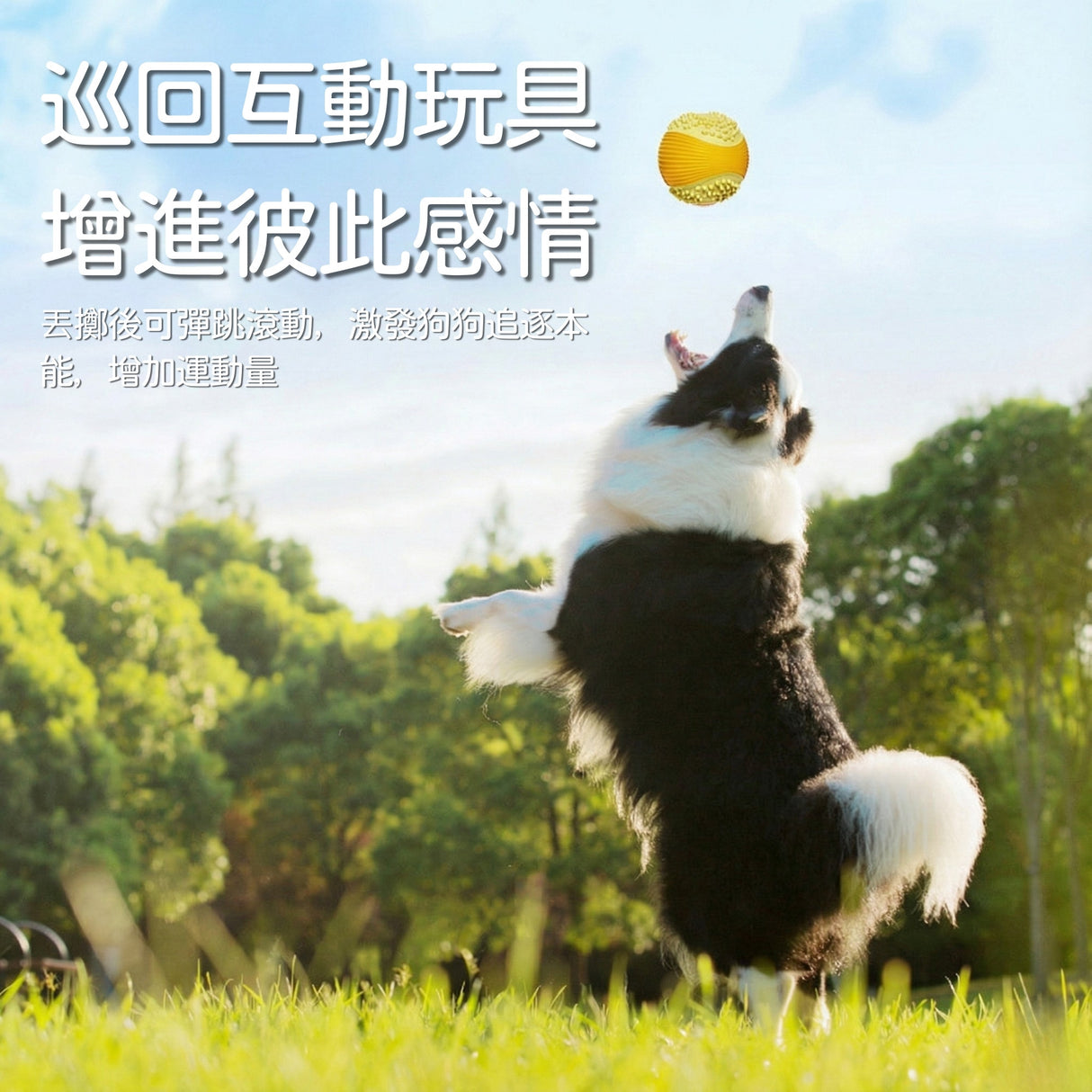 AIWO艾窩 高爾夫發聲球（小）