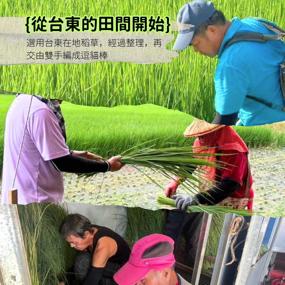 石山部落 稻草逗貓棒 約70cm｜手工編織貓咪互動玩具