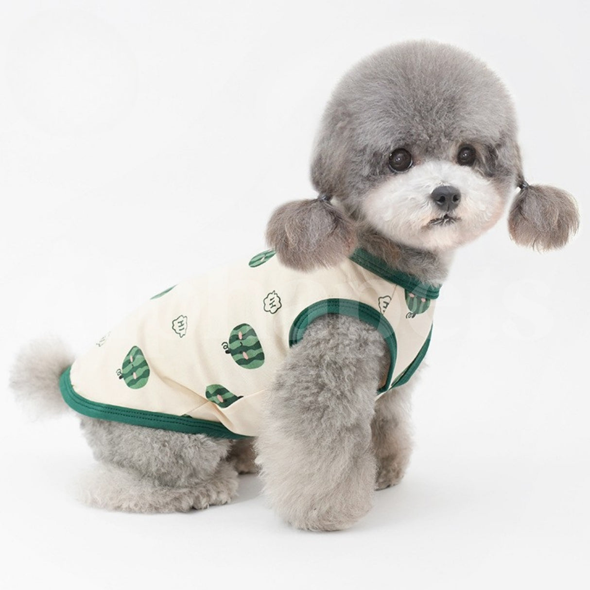 PETTRIP 西瓜．桔子滿版背心