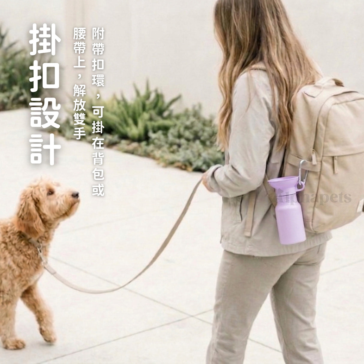 美國Springland寵物經典外出水壺