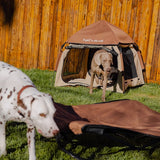 BlackDoggy 寵物戶外帳篷 防潑水 自動桿架 寵物窩