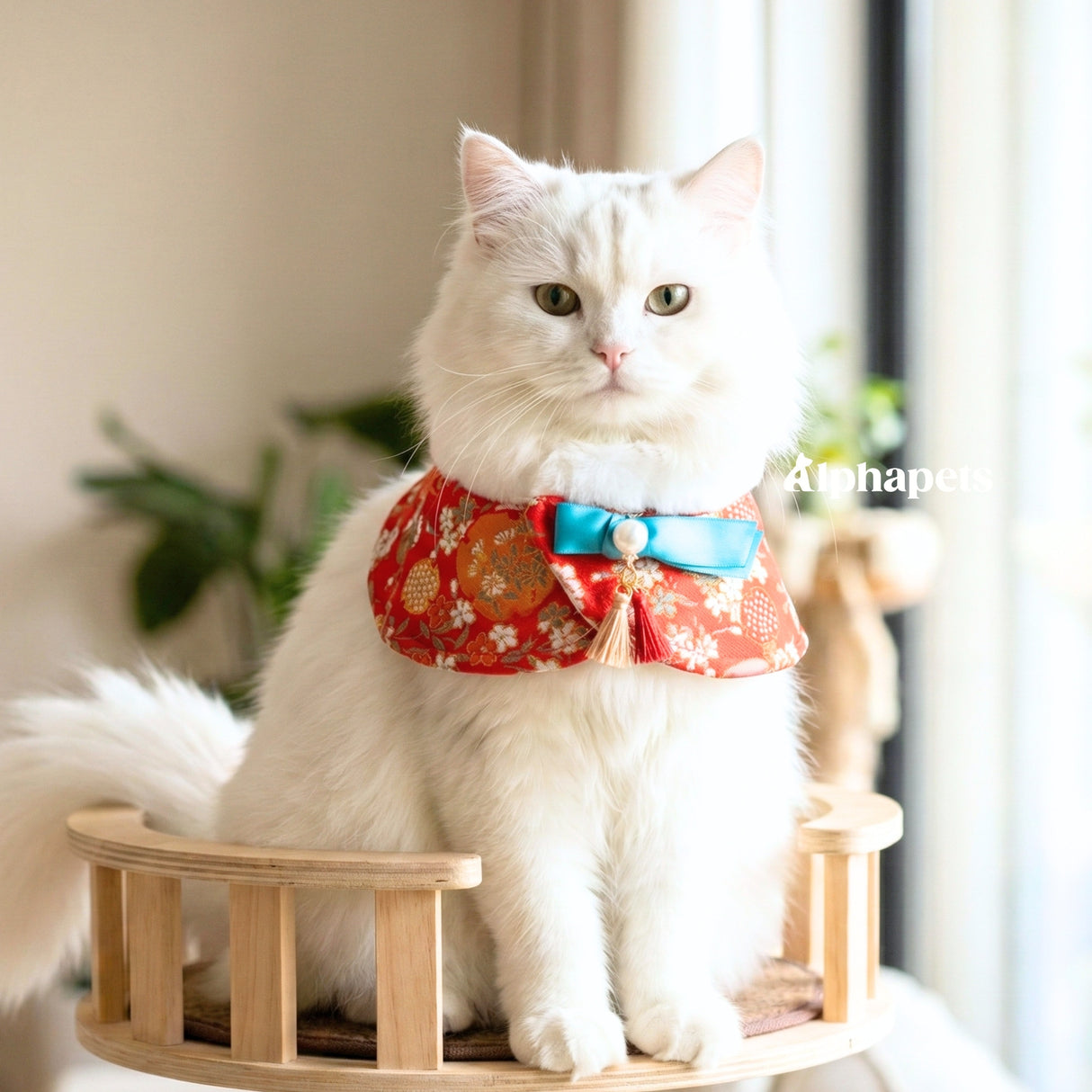 PETTRIP 中式披肩脖圍