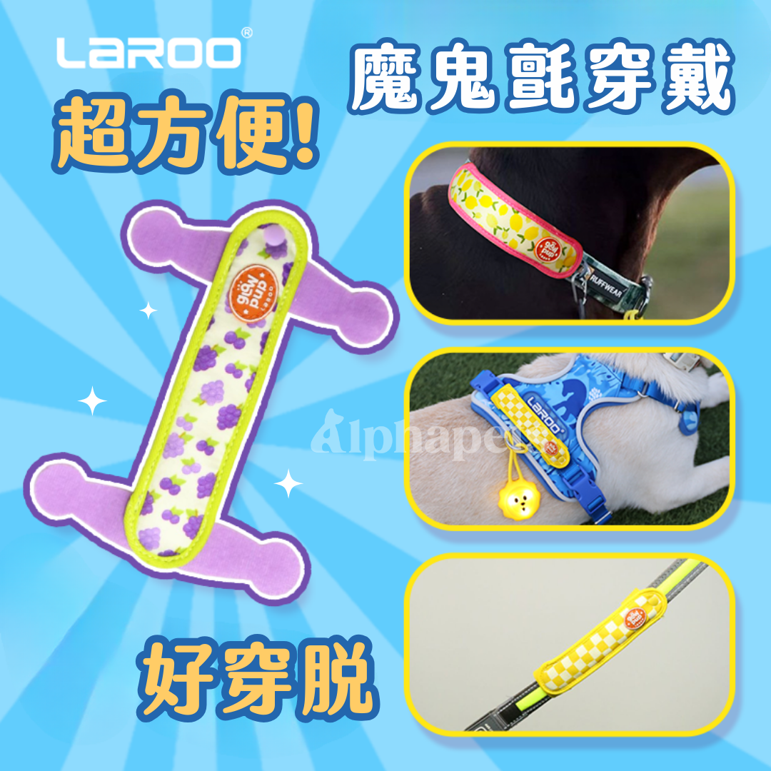 LaRoo萊諾 咔啦發光百搭帶 4色
