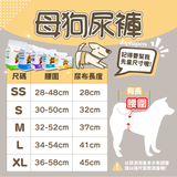 【買5送1】 Alphapets thxpet 寵物生理褲 尿布 母狗尿褲 / 公狗禮貌帶 清新香 多種尺寸 12片 / 包