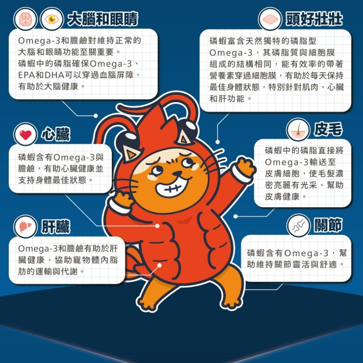 肉球世界 南極磷蝦大肉包 貓主食餐包 45g  | AAFCO標準 高蛋白質 高適口性 OMEGA3