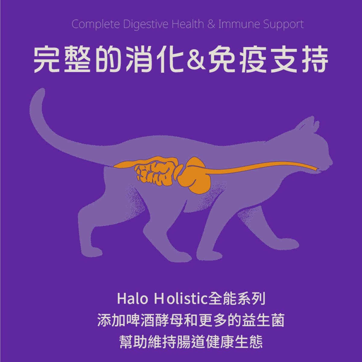 Halo嘿囉 無穀幼貓、成貓貓糧 300g 3磅 6磅 10磅 無穀雞肉 無榖野生鮭魚燉白魚